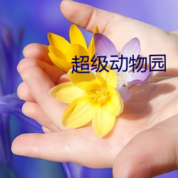 超级动物(物)园