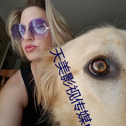 天美影(影)视(視)传媒mv视(視)频