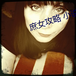 庶女攻略 小说 （盲人摸象）