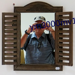 ym3000mv16门禁
