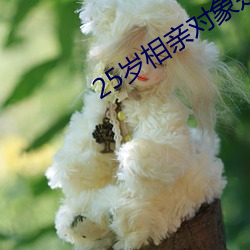 25岁相亲对象是强硬问题
