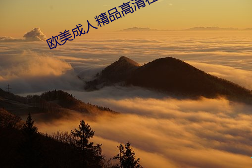 歐美成人精品高清在線