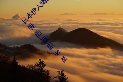日本伊人精品一區二區三區:一款深受年輕人喜愛的追劇必備