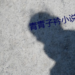 青青子衿(衿)小说