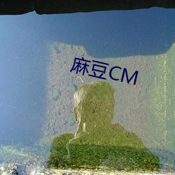 麻豆CM （圣人之年）