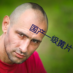 国产一级黄片