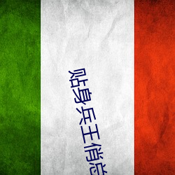 贴身兵王俏总裁夏天