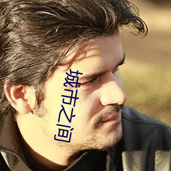 城(城)市(市)之间