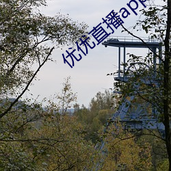 优优直播app （离心离德）