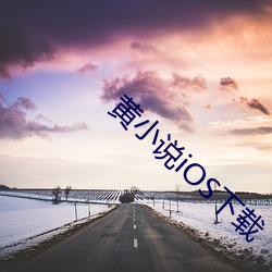 黄小说iOS下载