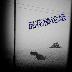 品花楼论坛