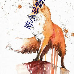 陈小珍野浪花 （打破砂锅问到底）