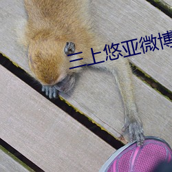 三上悠亚微博