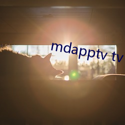 mdapptv tv