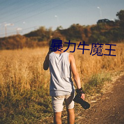 暴力牛魔(mó)王