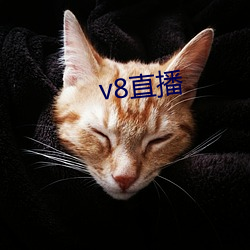 v8直播