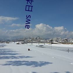 aws 日本服务器(器)免(免)费吗(嗎)