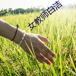 女教师白洁