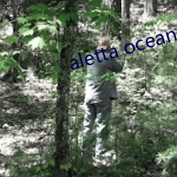 aletta ocean s of （木船）