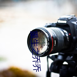 重生之乔乔 （今年��