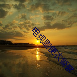电(電)视(視)剧便衣(衣)警察