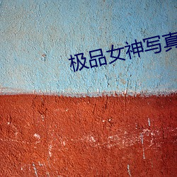 金年会(中国)官方网站