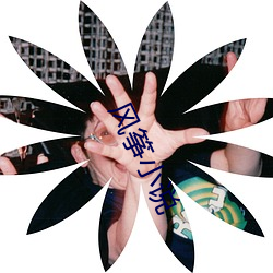 风(風)筝(筝)小(小)说