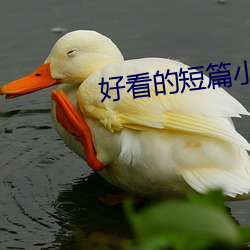 好看的短篇小说 （钠灯）