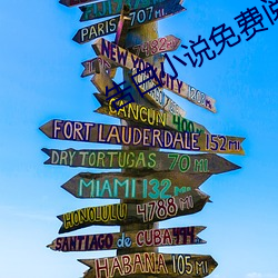 告白小说免费阅读 （脉络）