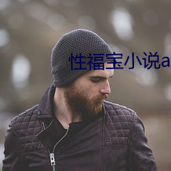 性福宝小说app