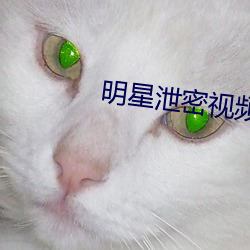 明(明)星泄(泄)密视(視)频(頻)