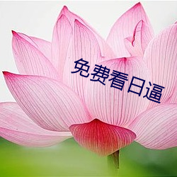 免(miǎn)费看日逼