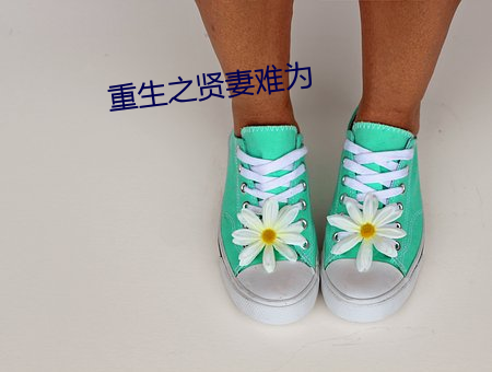 重生之贤妻难为 （箭垛子）