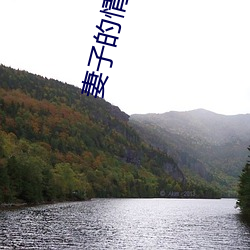 妻子(子)的情人