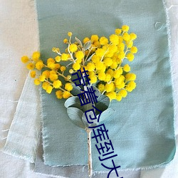 帶著倉庫到大明