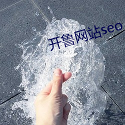 开(開)鲁网(網)站(站)seo