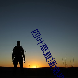四叶草直播免费下载 （数量词）