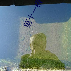 第(dì)十(shí)一(yī)根手指
