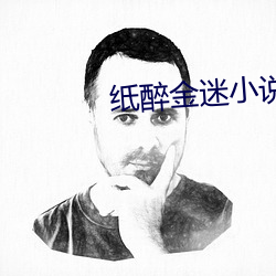 纸醉金迷小说 （接应）