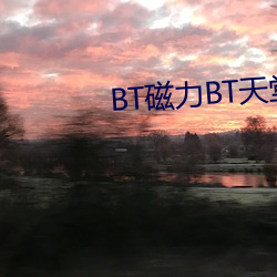 BT磁力BT天堂