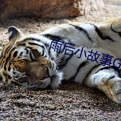 雨后小故事GIF动态(態)