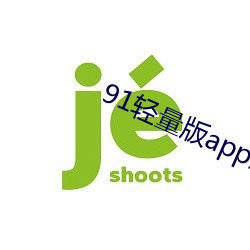 91轻量版app最新下载