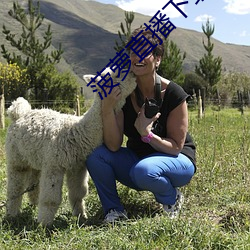 菠蘿直播下載