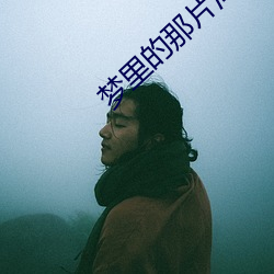 梦里的那片海 水电）