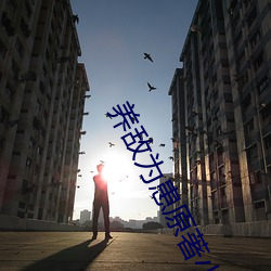 養敵爲患原著小說
