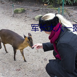军长(長)大人一(一)挺(挺)腰
