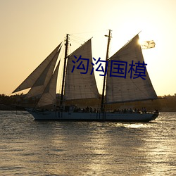 沟沟国模