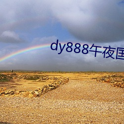 dy888午夜(夜)国(國)产精(精)品99re