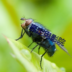 嘉定电影院