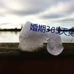 婚期365天(tiān)免费阅读